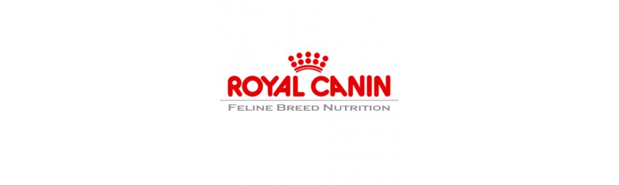 Feline Breed Nutrition